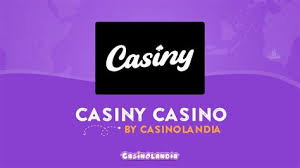 Everything You Need to Know About Casiny Login 4